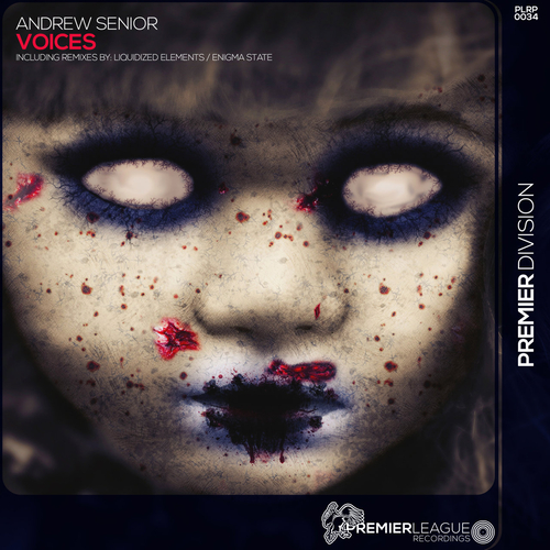 Andrew Senior - Voices [PLRP0034]